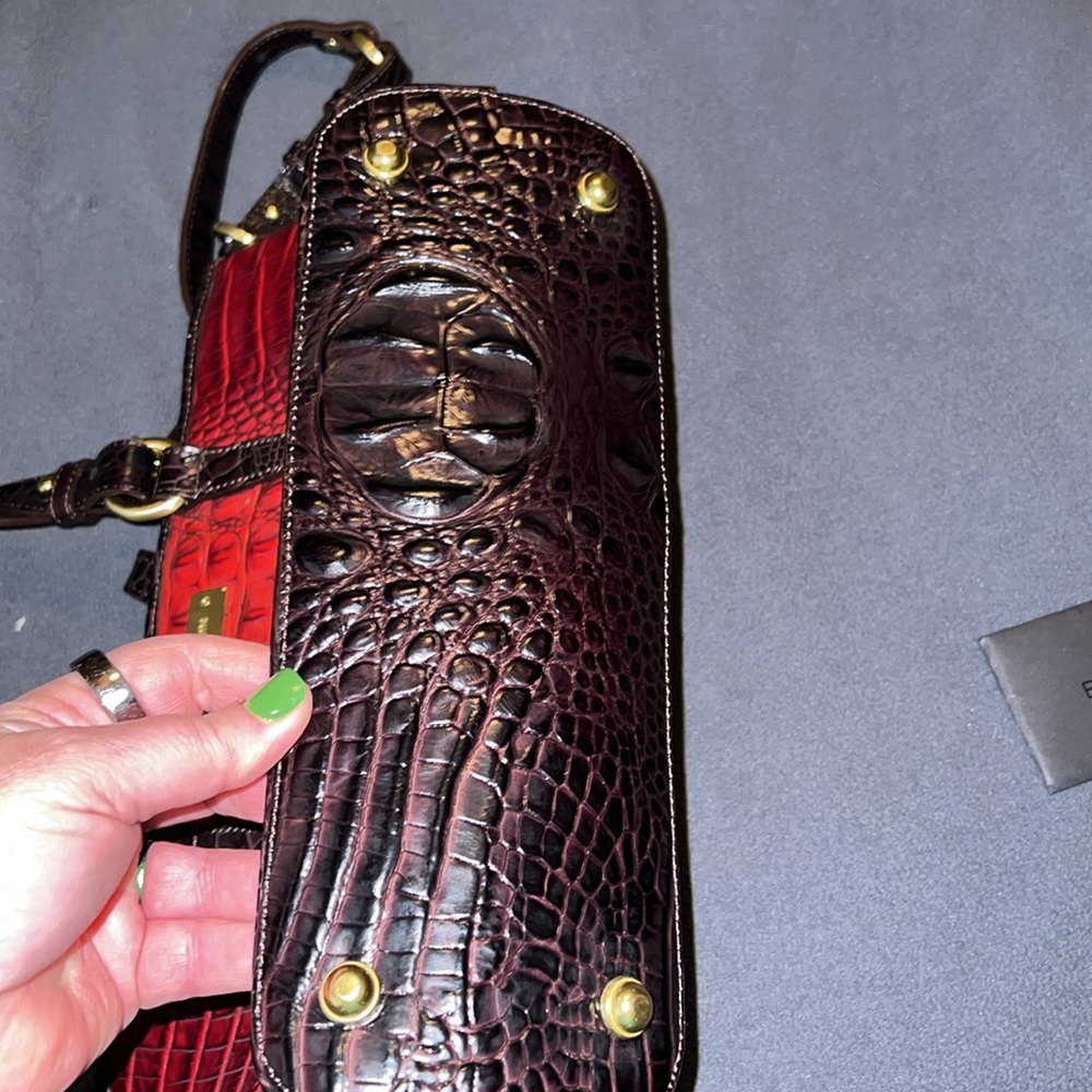 Brahmin - Picture 6 of 9